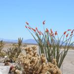 Laughlin_4_0011 (April 20, 2012)